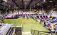 Bounce Inc Trampoline Park - Tingalpa - thumb 0