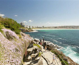 Bondi To Coogee Coastal Walk - Whitsundays Accommodation 3