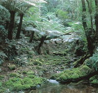The Corn Trail Walk - Whitsundays Accommodation