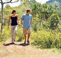 Hoddles Track - Whitsundays Accommodation