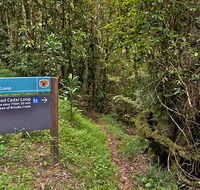 Red Cedar loop - Whitsundays Accommodation