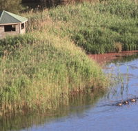 Spring Creek Bird Hide - Whitsundays Accommodation