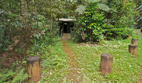 Brindle Creek Picnic Area - Whitsundays Accommodation 0