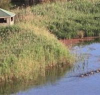 Spring Creek Wetlands Walk - Whitsundays Accommodation
