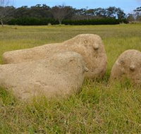 Unreal Rocks Statue Gallery - Whitsundays Accommodation