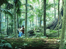 Binna Burra QLD Whitsundays Accommodation