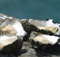 Jim Wilds Oyster Service - Whitsundays Accommodation