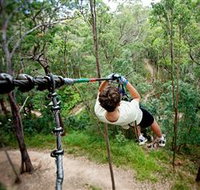 TreeTop Challenge - Whitsundays Accommodation