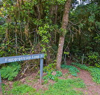 Falcorostrum loop walking track - Whitsundays Accommodation