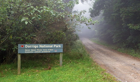 Never Never Picnic Area - Whitsundays Accommodation 3