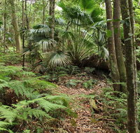 Durras Lake Discovery trail