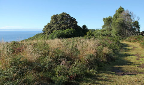 Pretty Beach To Durras Mountain Walking Track - Whitsundays Accommodation 2