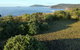 Pretty Beach To Durras Mountain Walking Track - thumb 3