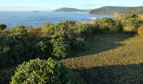 Pretty Beach To Durras Mountain Walking Track - Whitsundays Accommodation 3