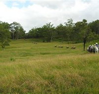 Numinbah Valley Adventure Trails - Whitsundays Accommodation