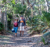 Myrtle Beach walking track - Whitsundays Accommodation