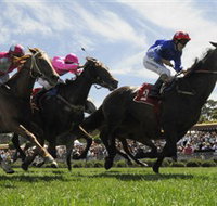 Moruya Racecourse - Whitsundays Accommodation