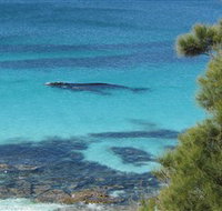Jervis Bay Marine Park - Whitsundays Accommodation