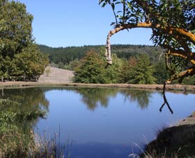 Oak Grove Walk, Balingup - Whitsundays Accommodation 0