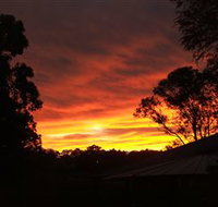 Tinonee Museum - Whitsundays Accommodation