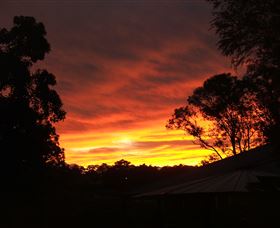 Tinonee Museum - Whitsundays Accommodation 0