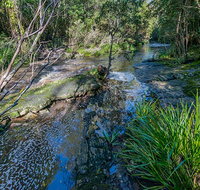 Dawson River walking track - Whitsundays Accommodation
