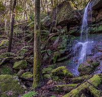Coorabakh National Park - Whitsundays Accommodation