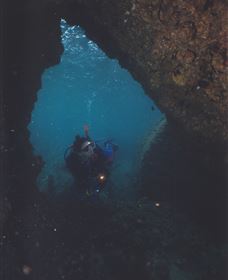 Tangalooma Wrecks Dive Site - Whitsundays Accommodation 3