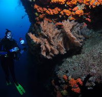 Gotham City Dive Site - Whitsundays Accommodation