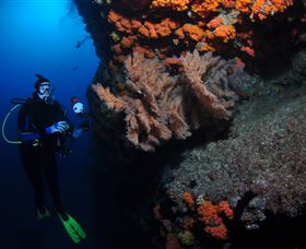 Gotham City Dive Site - Whitsundays Accommodation 0