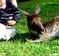 Bunbury Wildlife Park - Whitsundays Accommodation