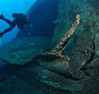 Cementco Dive Site - Whitsundays Accommodation