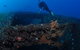 Cementco Dive Site - thumb 3