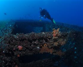 Cementco Dive Site - Whitsundays Accommodation 3