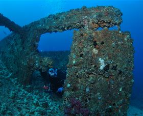 Cementco Dive Site - Whitsundays Accommodation 2