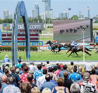 Gold Coast Turf Club - Whitsundays Accommodation