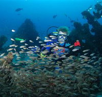 Aarhus Dive Site - Whitsundays Accommodation