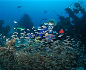 Aarhus Dive Site - Whitsundays Accommodation 0