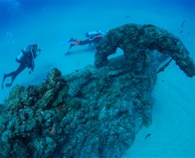 Aarhus Dive Site - Whitsundays Accommodation 1
