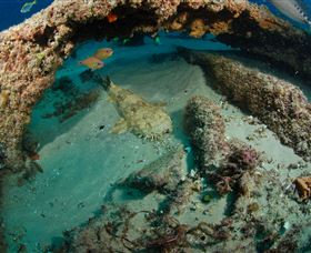 Aarhus Dive Site - Whitsundays Accommodation 3
