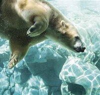 Australia's Sea World - Whitsundays Accommodation