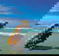 Diamond Beach - Whitsundays Accommodation