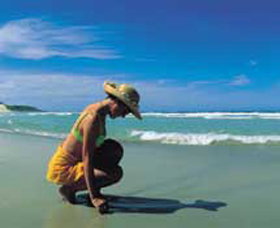 Diamond Beach - Whitsundays Accommodation 0