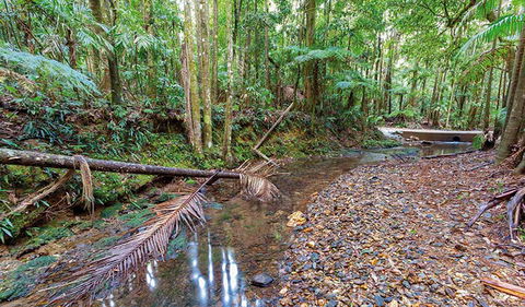 Ulidarra National Park - Whitsundays Accommodation 0