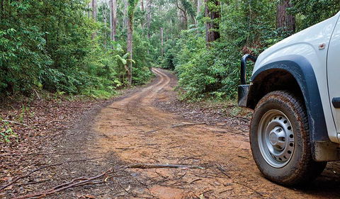 Ulidarra National Park - Whitsundays Accommodation 2