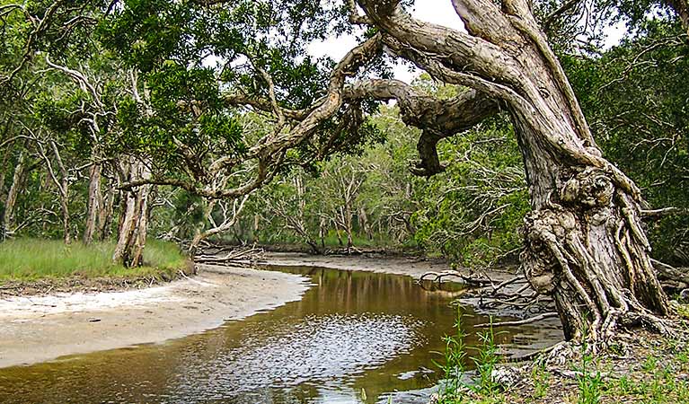 Saltwater NSW Whitsundays Accommodation
