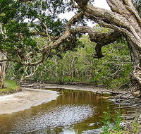 Saltwater National Park - Whitsundays Accommodation