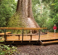 Burrawan State Forest - Whitsundays Accommodation