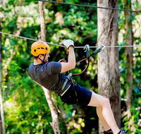 TreeTop Challenge Currumbin - Whitsundays Accommodation