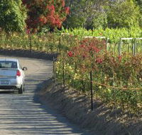 Cassegrain Wines - Whitsundays Accommodation